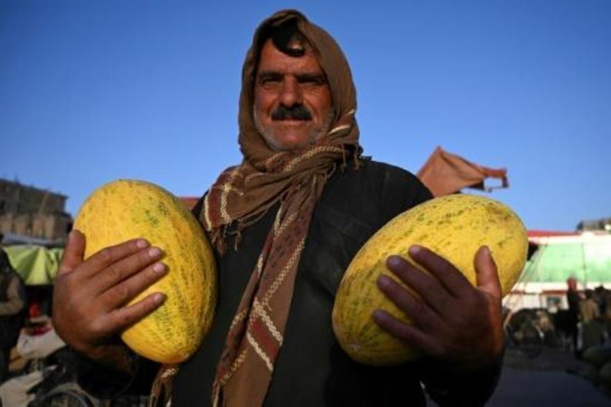 بائع أفغاني يحمل شماما بانتظار زبائن قبل عيد الأضح