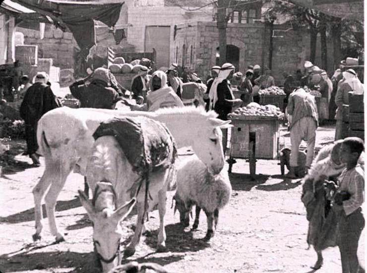  سوق حيفا للخضار عام 1946