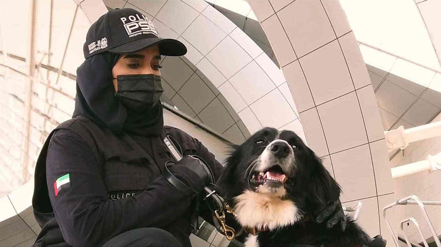 الكلاب البوليسية