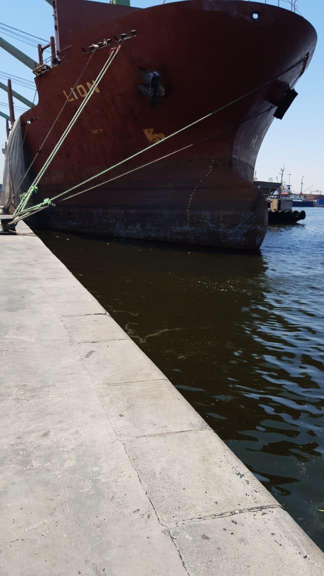 حركة تداول الحاويات والبضائع بميناء دمياط