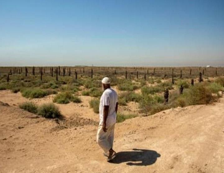  مزارع عراقي امام أرضه في مدينة الفاو بجنوب العراق