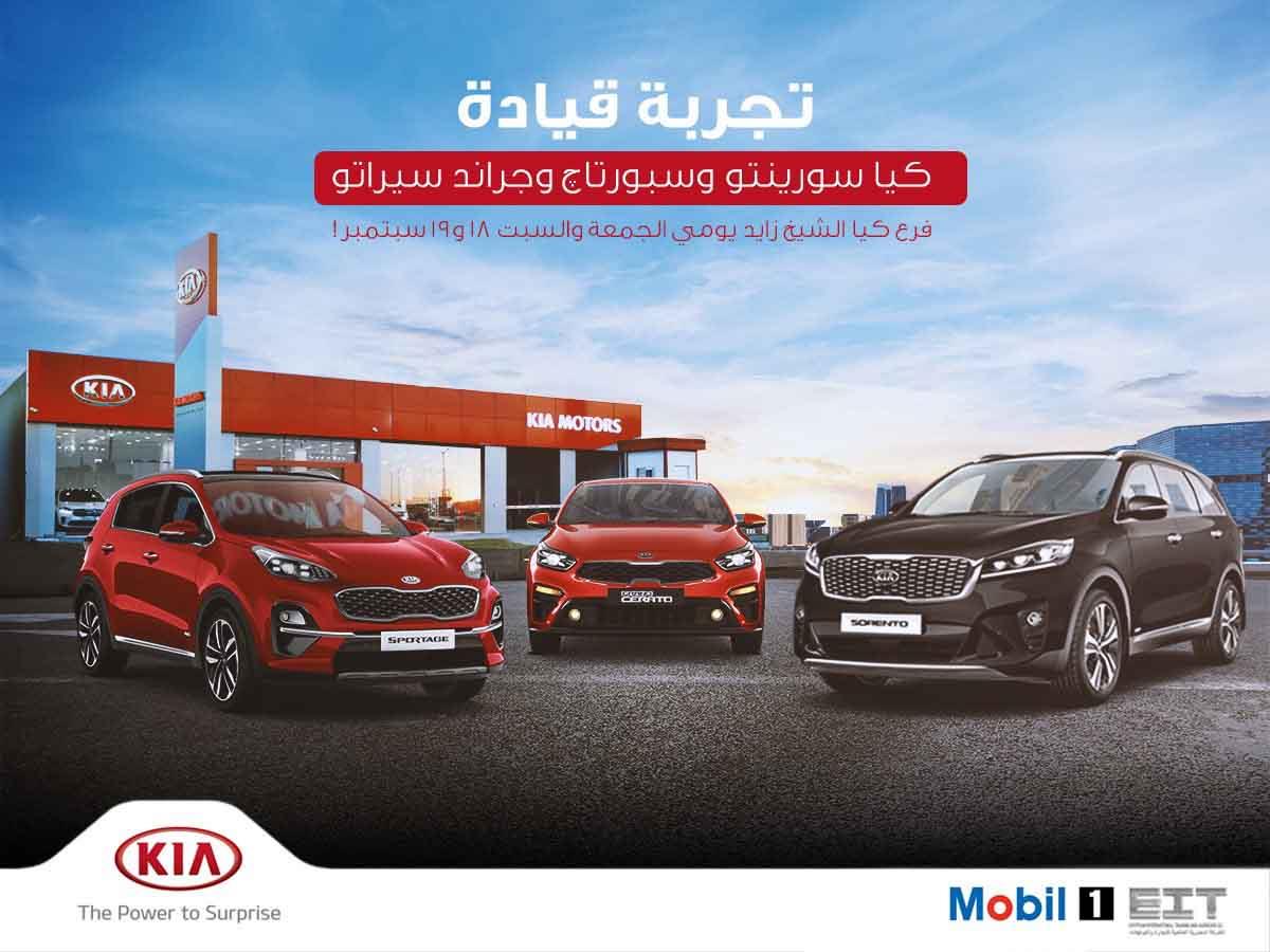 24db86dc-eb9f-4785-9b81-314e97c4e4b5