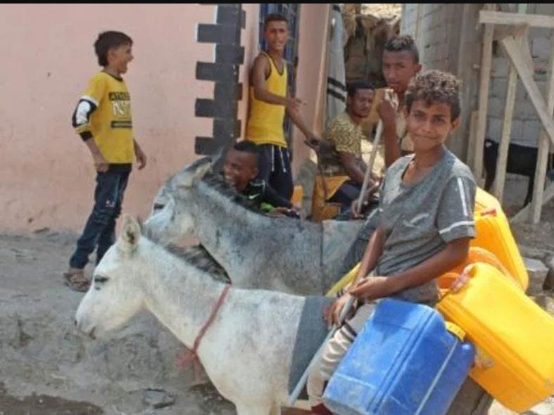 شبان يمنيون يحملون عبوات بلاستيكية على حمير في عدن