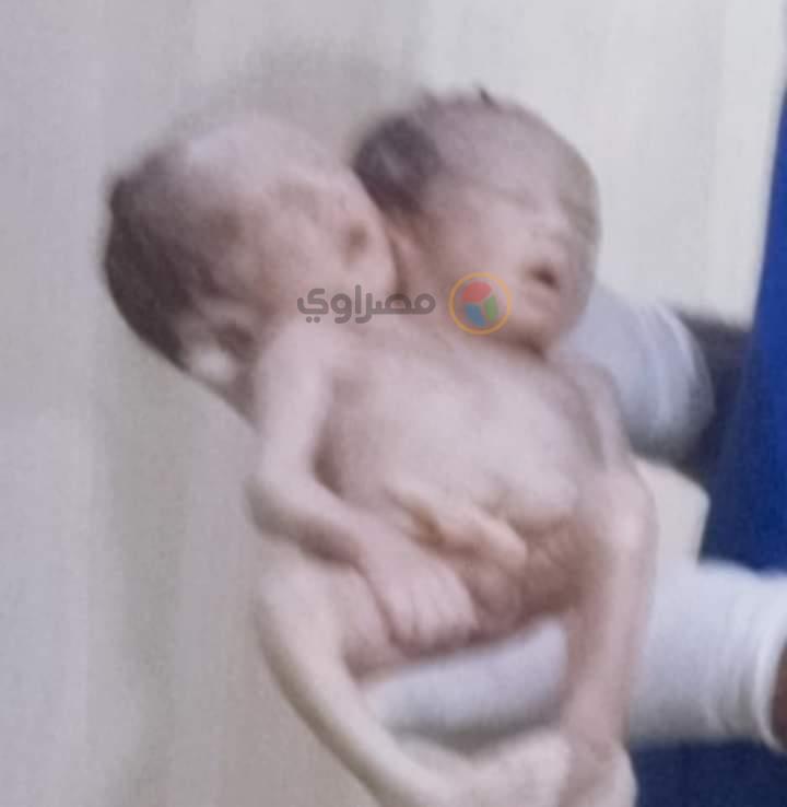 79ad2fcd-cc8c-4406-a841-0607417c2464