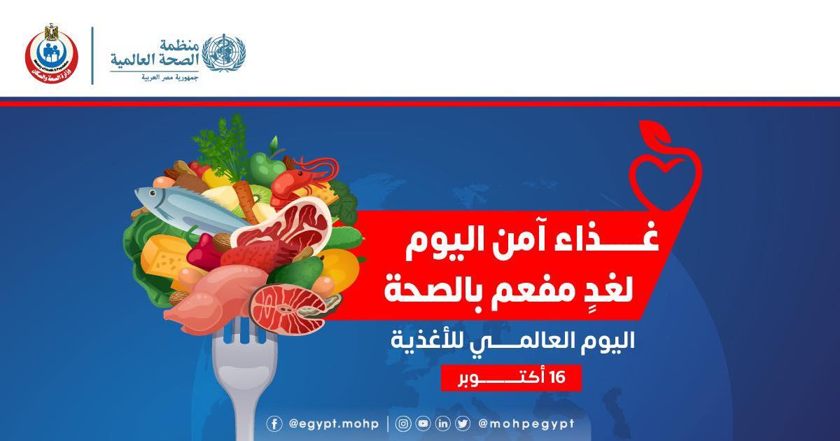 245072765_184245187220037_1429569930168280419_n