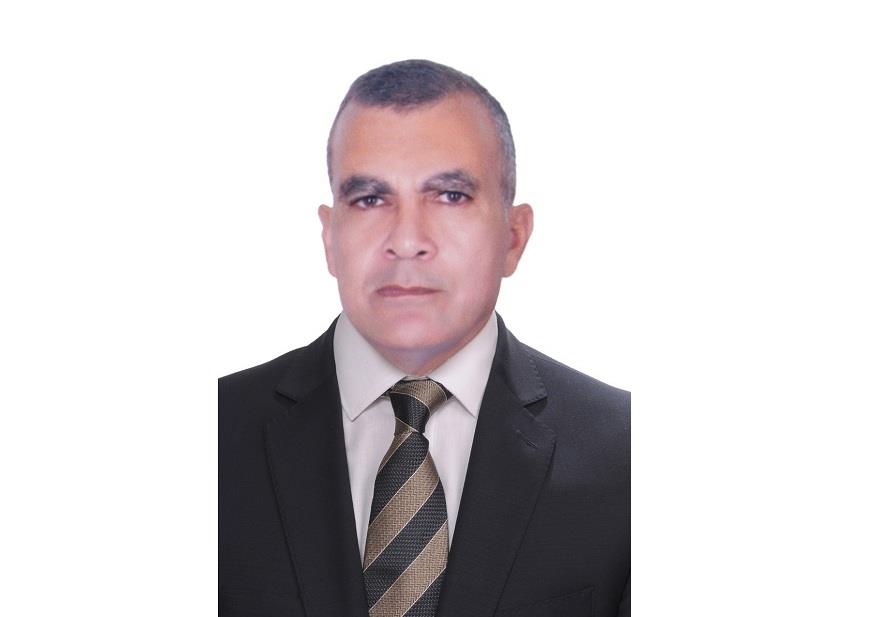 المستشار عصام الدين أحمد فريد