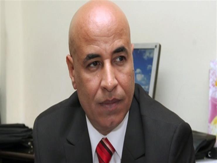 عادل حنفي نائب رئيس الاتحاد العام للمصريين