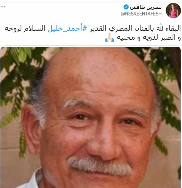 نسرين-طافش
