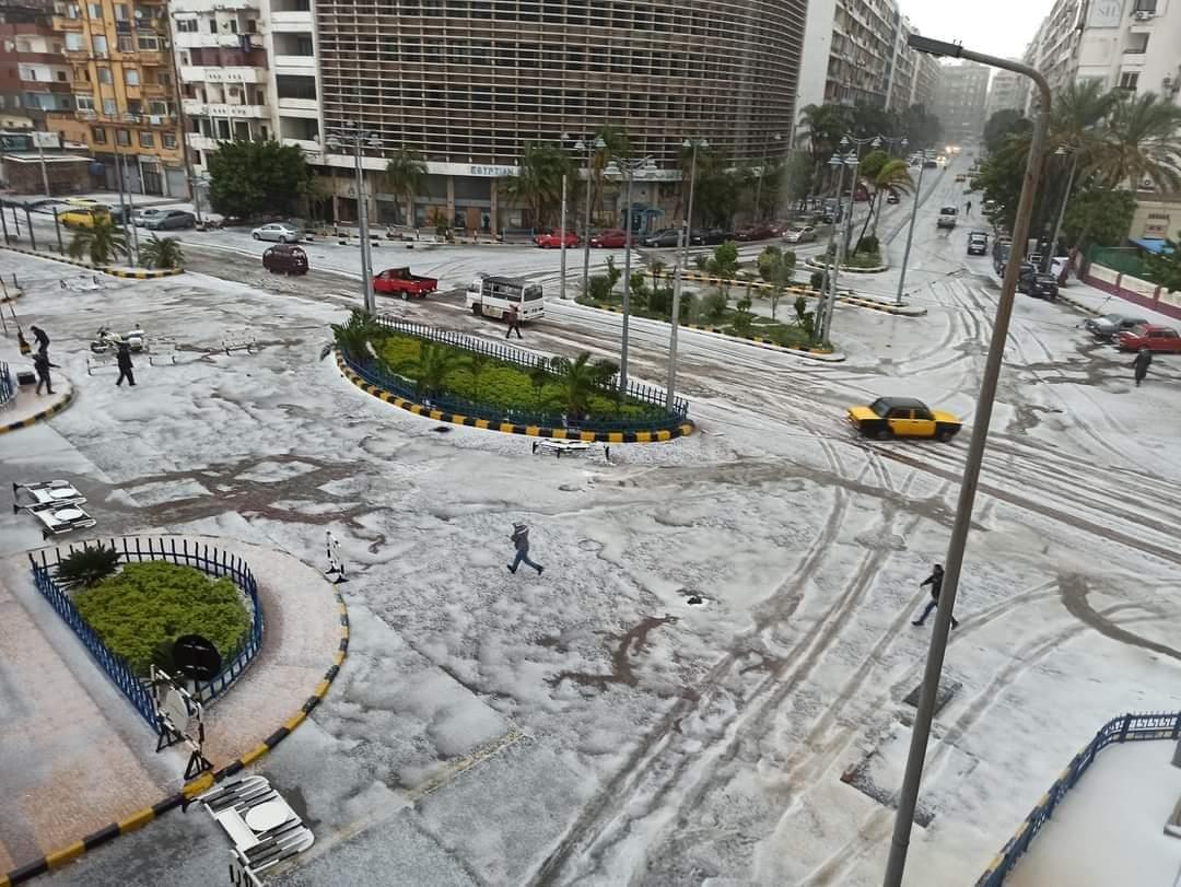 الثلوج على الإسكندرية                             
