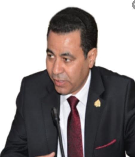  الدكتور محمود عبدالعاطى أبو حسوب أستاذ المعلوماتي