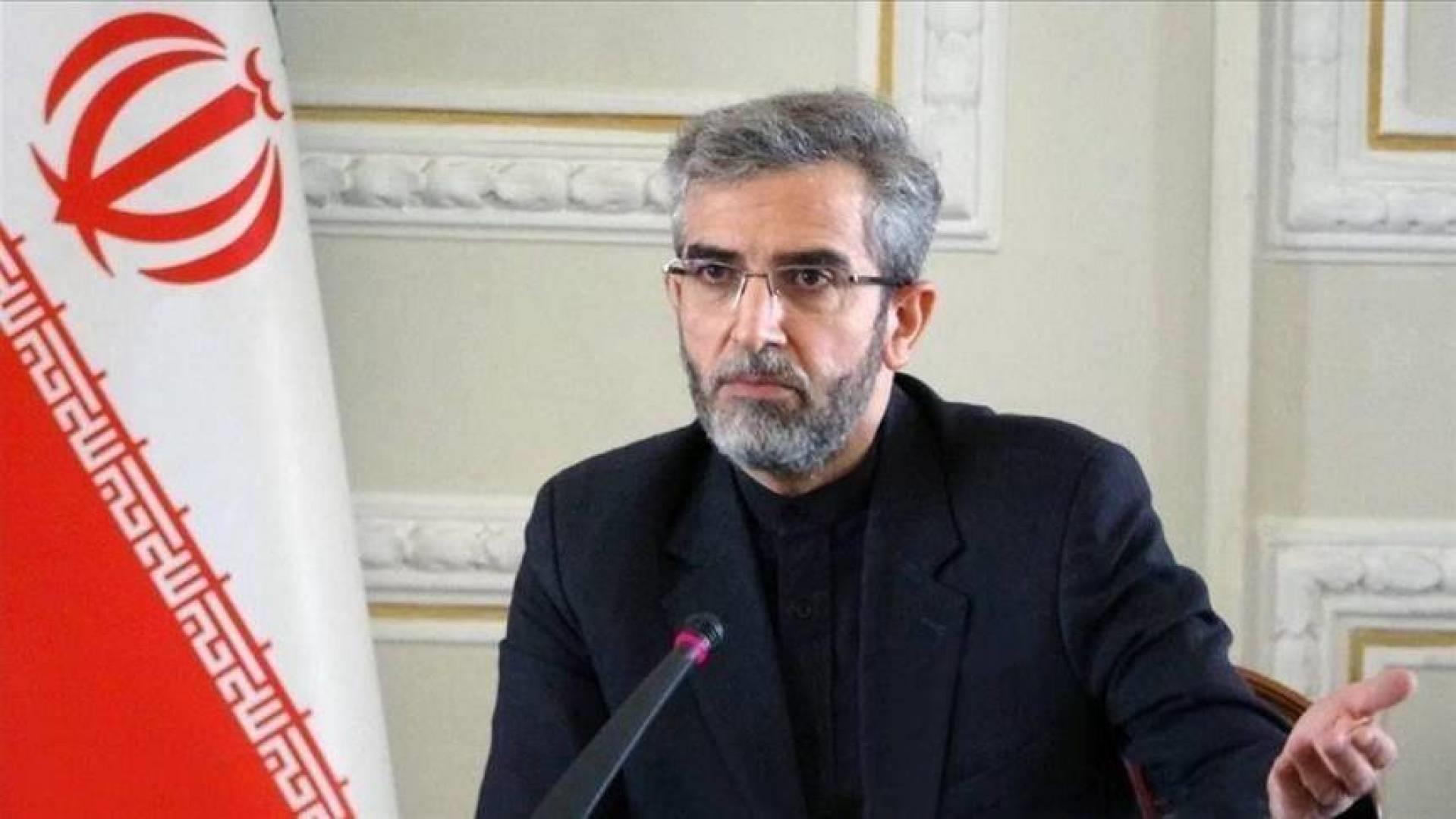 رئيس الوفد الايراني المفاوض في فيينا علي باقري كني