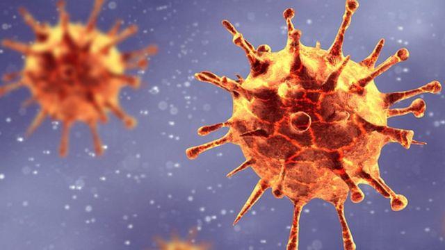 فيروس كورونا (صورة مجهرية)