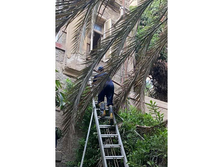 أمن القاهرة يقدم مساعدة لاستغاثة مواطنة مسنة بمنزل