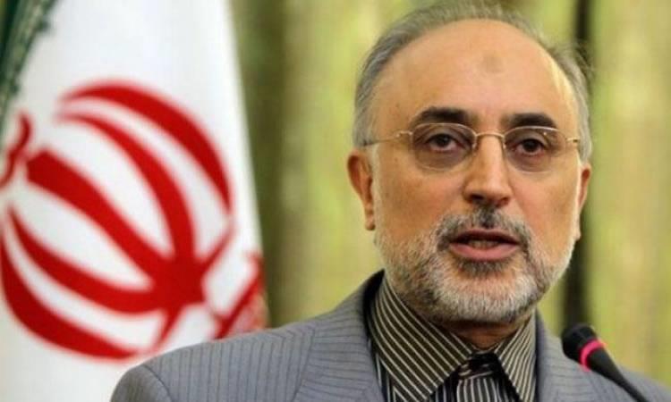 مدير وكالة الطاقة الذرية الإيرانية علي أكبر صالحي