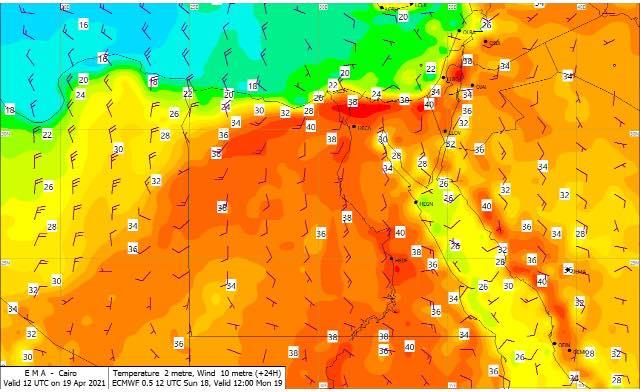 175649484_4251938731507456_9218677965900300993_n