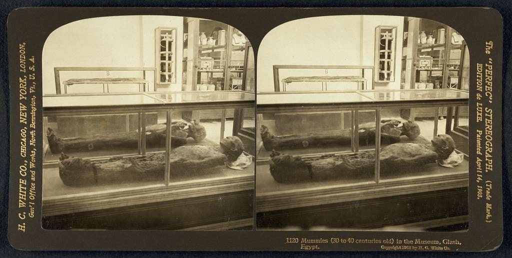 عرض الموميات3 الملكية في متحف الجيزة