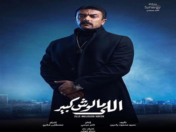 مسلسل اللي مالوش كبير