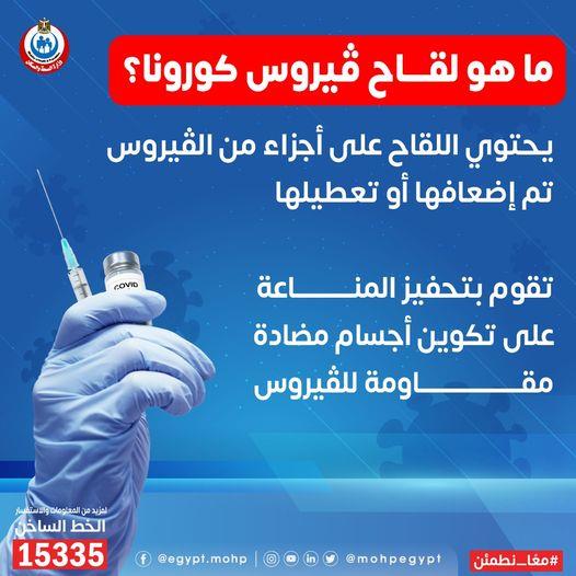 185319042_379813840235901_8971695497959491253_n