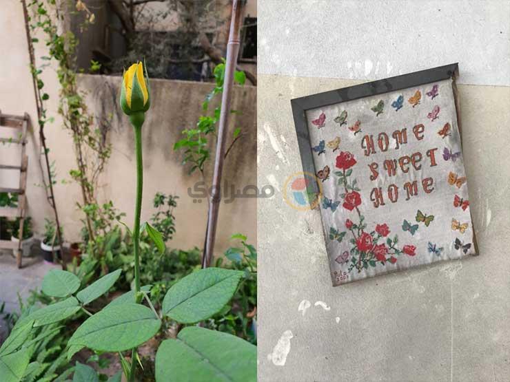 2021_5_25_16_2_55_363