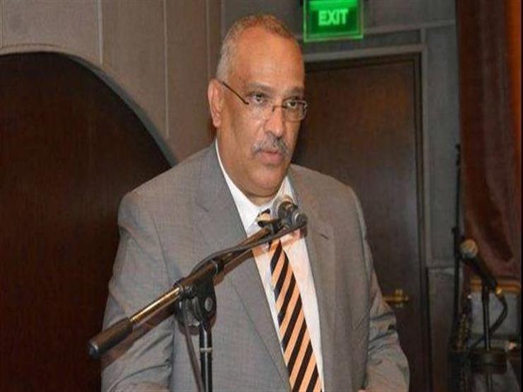 محمد أبوسعدة رئيس الجهاز القومي للتنسيق الحضاري