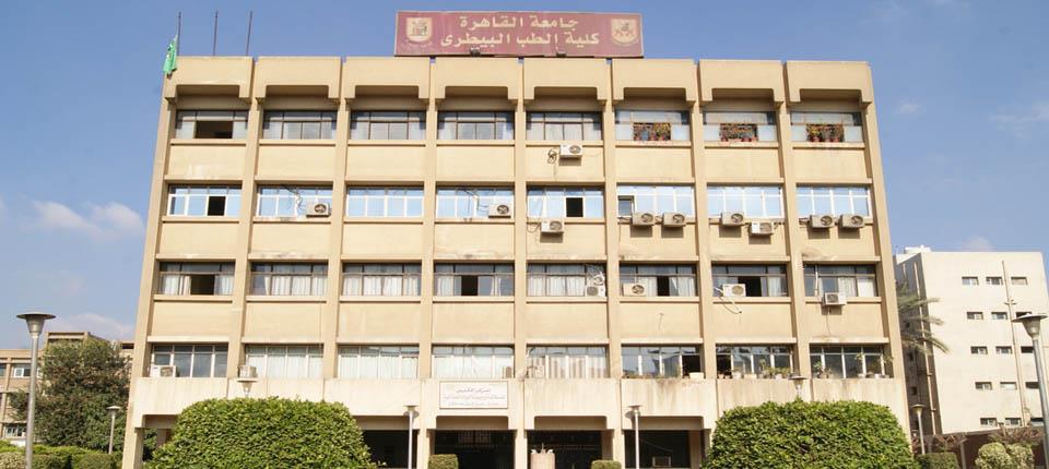 كلية الطب البيطرى جامعة القاهرة