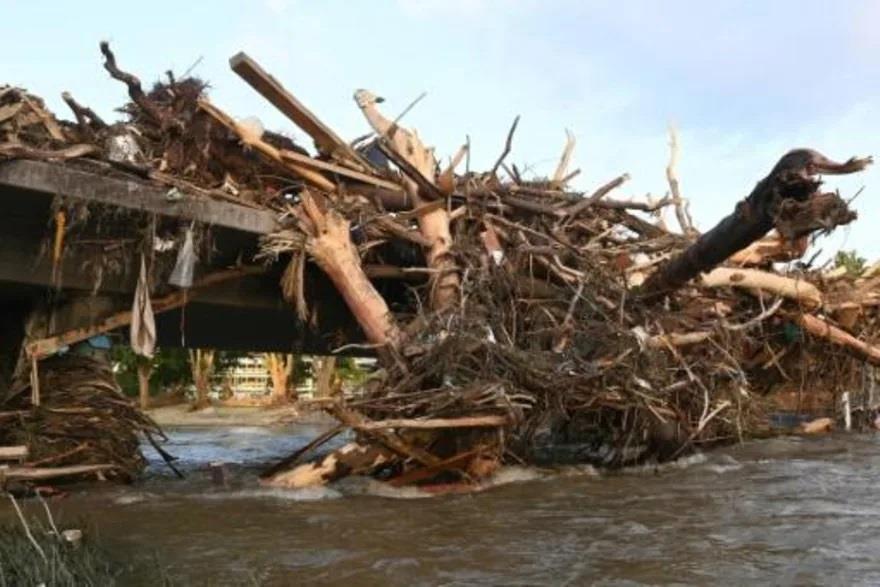 اشجار مقتلعة ومقلوبة على جسر في مدينة بادنوينر-أرف