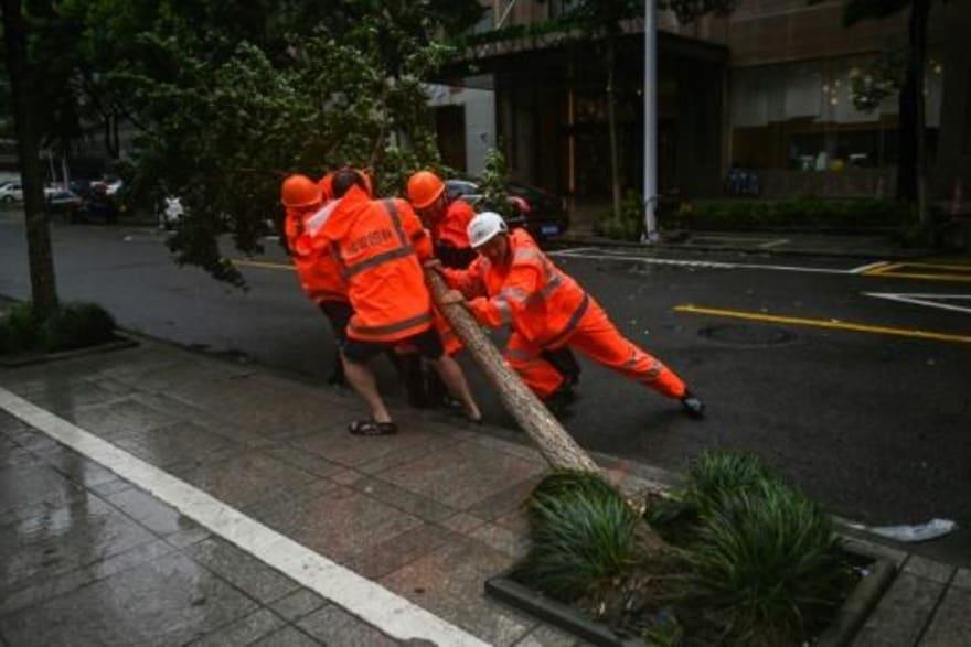 عمال يحاولون إزالة شجرة سقطت في الشارع جراء الرياح