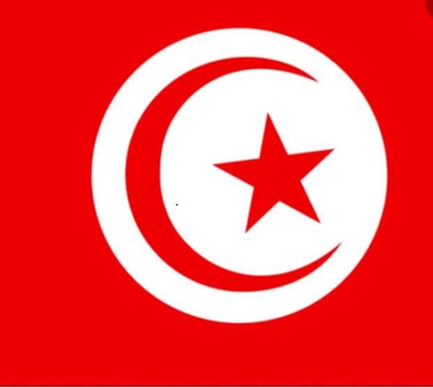 علم دولة تونس