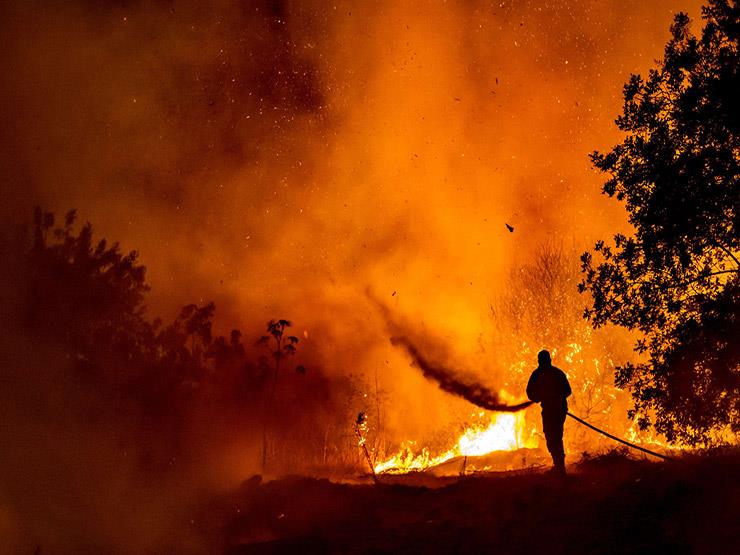 الحرائق المندلعة في غابات قبرص