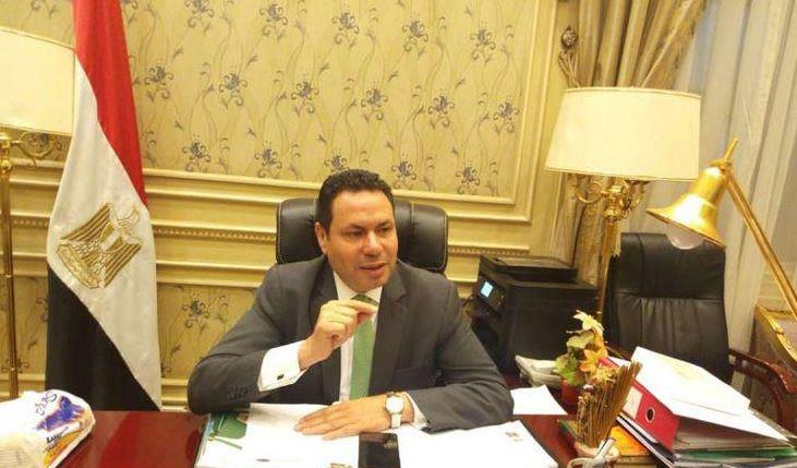 النائب هشام الحصري رئيس لجنة الزراعة بمجلس النواب