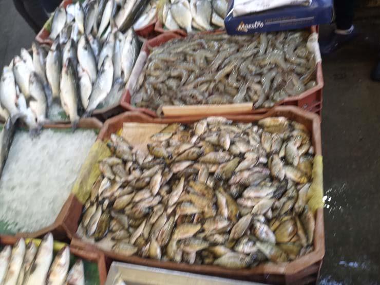 سوق الأسماك في دمياط