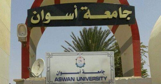 جامعة أسوان