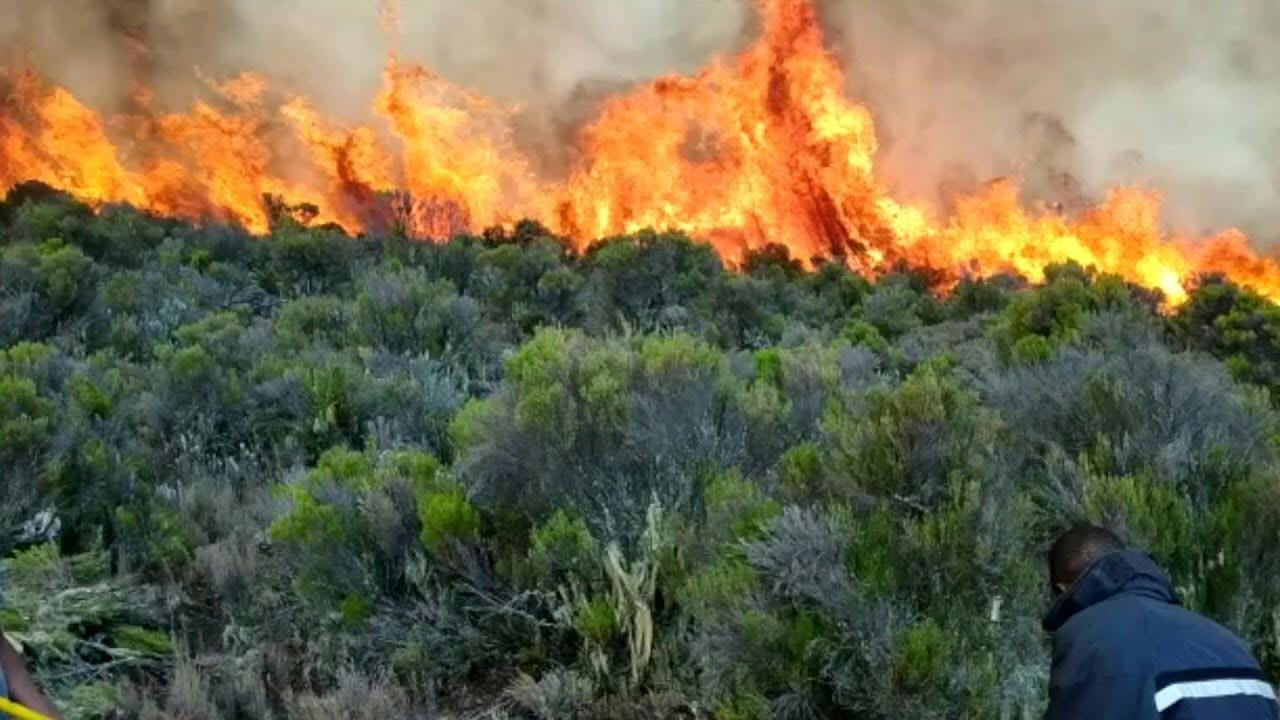 حريق في غابات جبل كليمنجارو