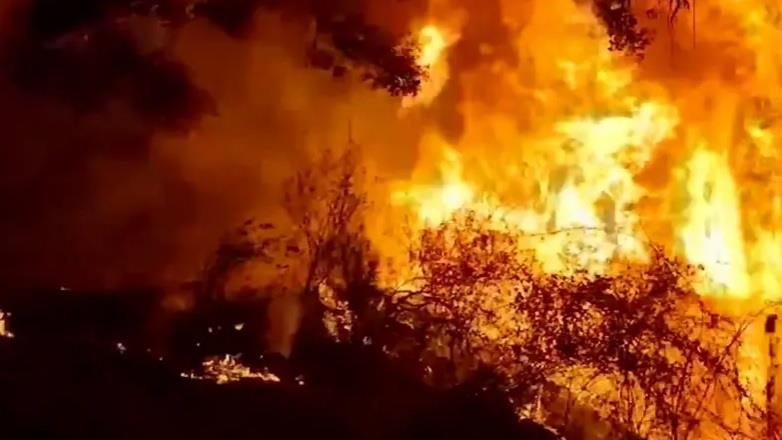 حريق غابات في إسبانيا 