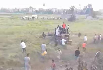 مطاردة ثور هائج في قرية ميت بشار بالشرقية