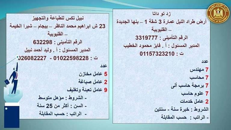 توفير 164 وظيفة جديدة في القوى العاملة بالقليوبية