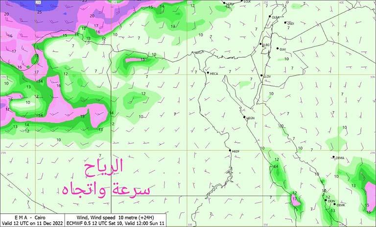 318878001_515463793945526_8869082914250160431_n