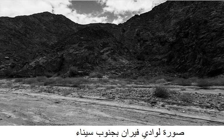صورة-لوادي-فيران-بجنوب---سيناء