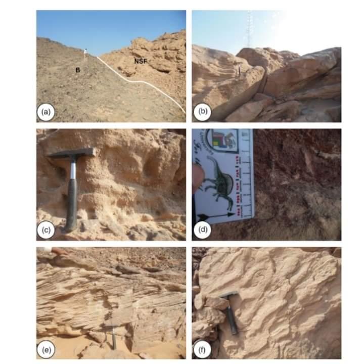 24d05571-6a90-43ce-bd5e-eb5f1249e655