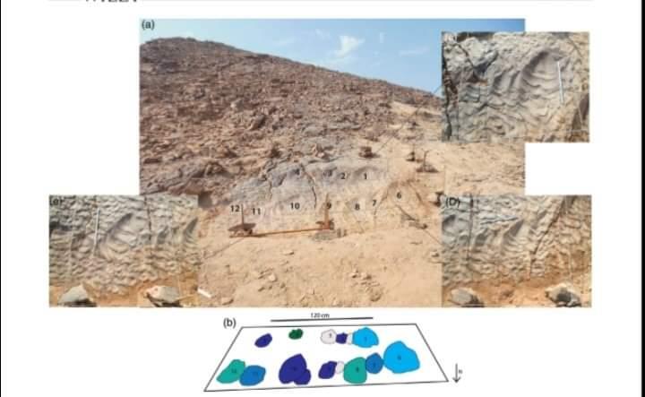 bca601d2-79ab-4619-abb9-84bd67b8bbdc