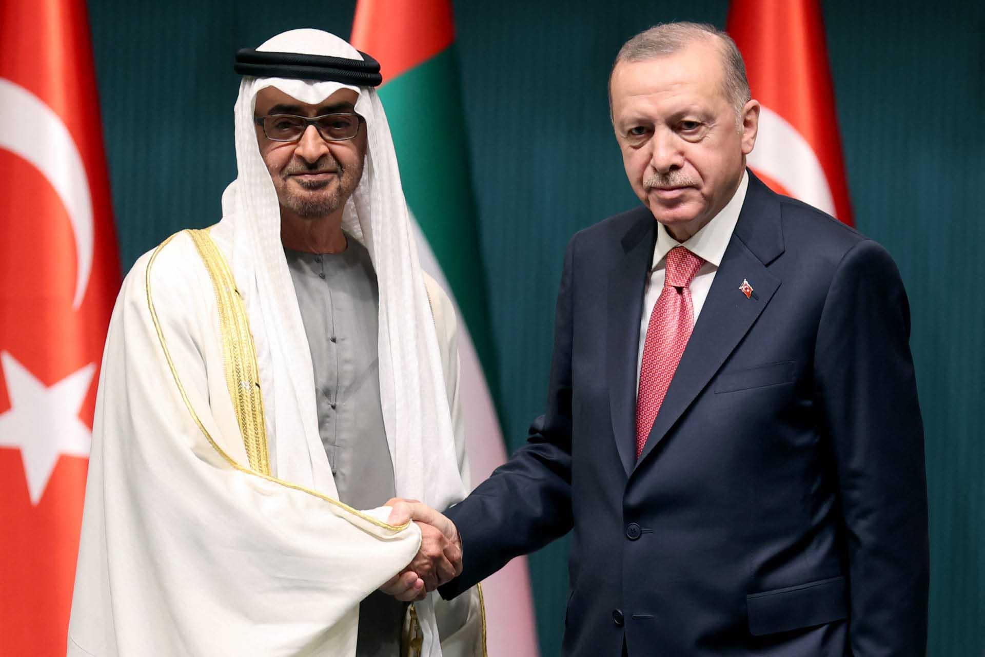 محمد بن زايد وأردوغان