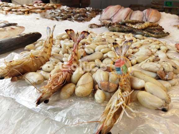 الحبر الأسود في سوق السمك بورسعيد 