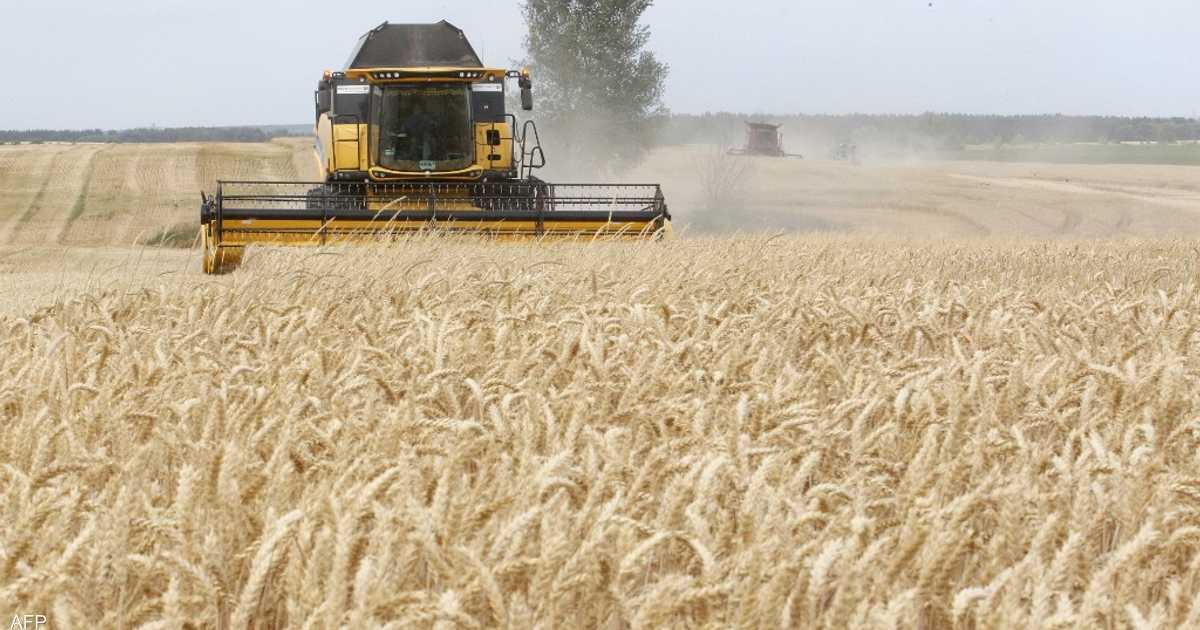 كييف تحذر من تبعات الغزو الروسي على صادرات القمح 