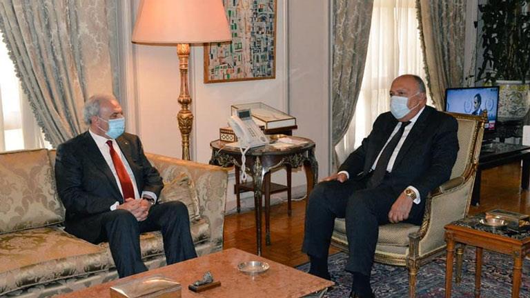وزير الخارجية يؤكد دعم مصر المتواصل للقضية الفلسطي