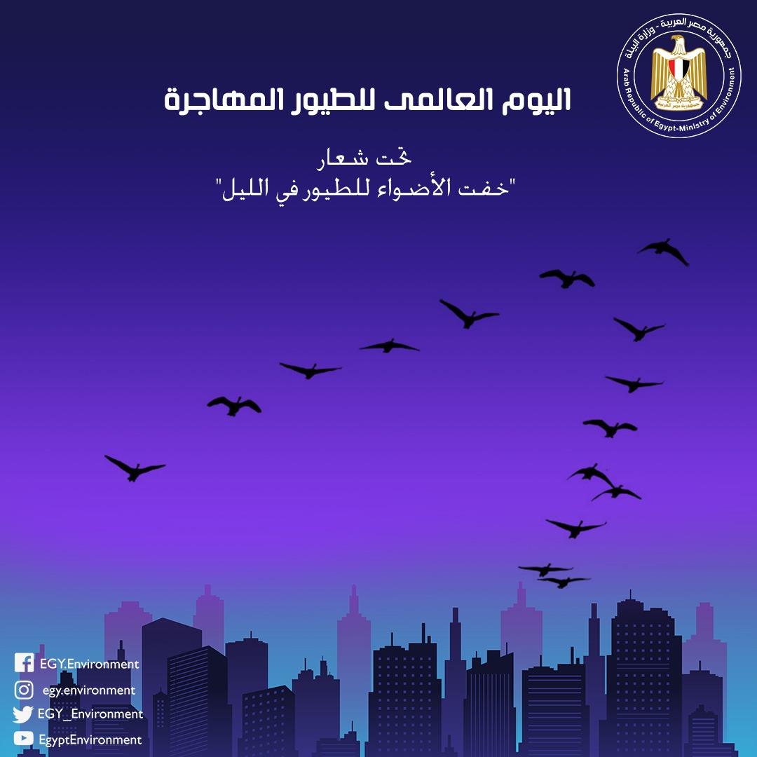 مصر تشارك في الاحتفال باليوم العالمي للطيور المهاج