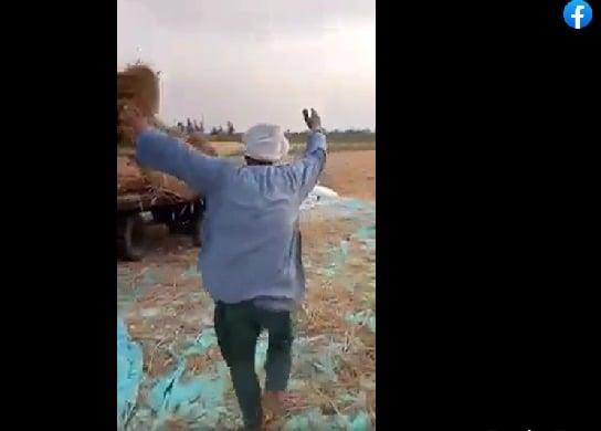مزارع يرقص احتفالا بمحصول أرضه