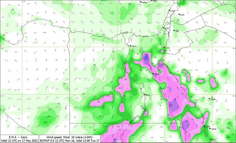281357483_369170865241487_2517169227479061056_n
