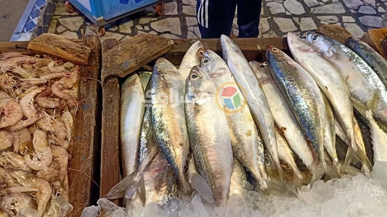 الركود وارتفاع الأسعار يضربان سوق السمك في السويس 