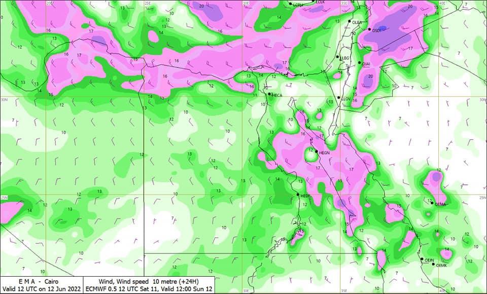 287607671_386342966857610_2619517212905299669_n