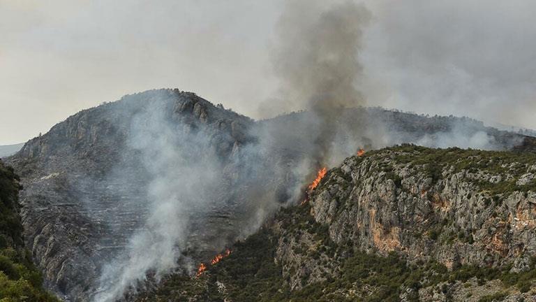 حريق غابة في كاتالونيا في 16 يونيو 2022.